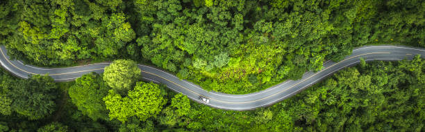 Кто строит и отвечает за автомобильные дороги в Словении?